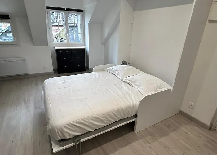 Le Ptit Vaucelles Apartment *